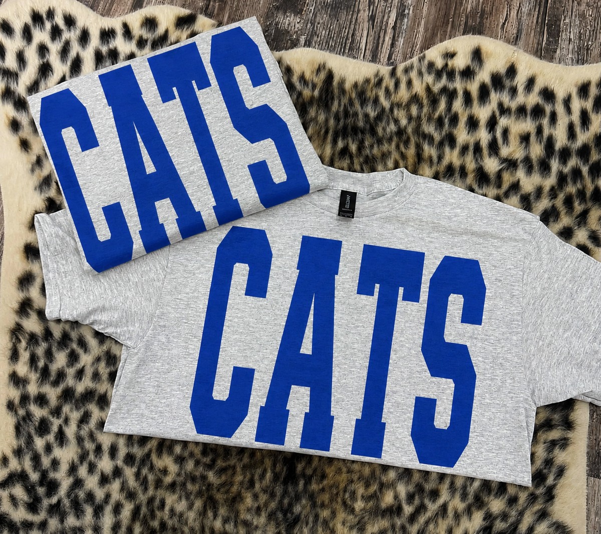 CATS 🐾